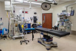 CLINIQUE LES MOINEAUX