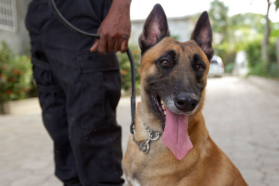 ATSR (AGENCE TOGOLAISE DE SECURITE RAPPROCHEE)